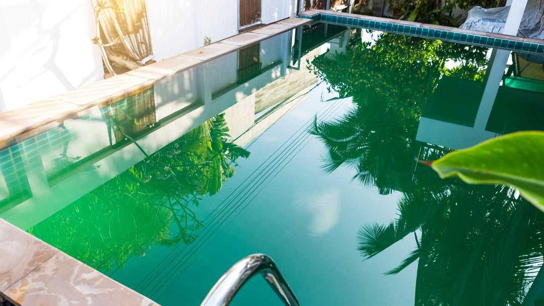 Que faire si l'eau de ma piscine est verte